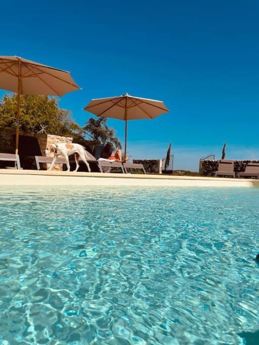 Dome Insolite Cedre Jacuzzi Et Petits Dejeuners Inclus Lagraulet-du-Gers Exterior photo