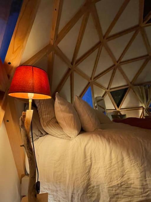 Dome Insolite Cedre Jacuzzi Et Petits Dejeuners Inclus Lagraulet-du-Gers Exterior photo